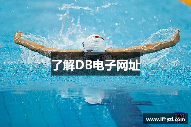 了解DB电子网址